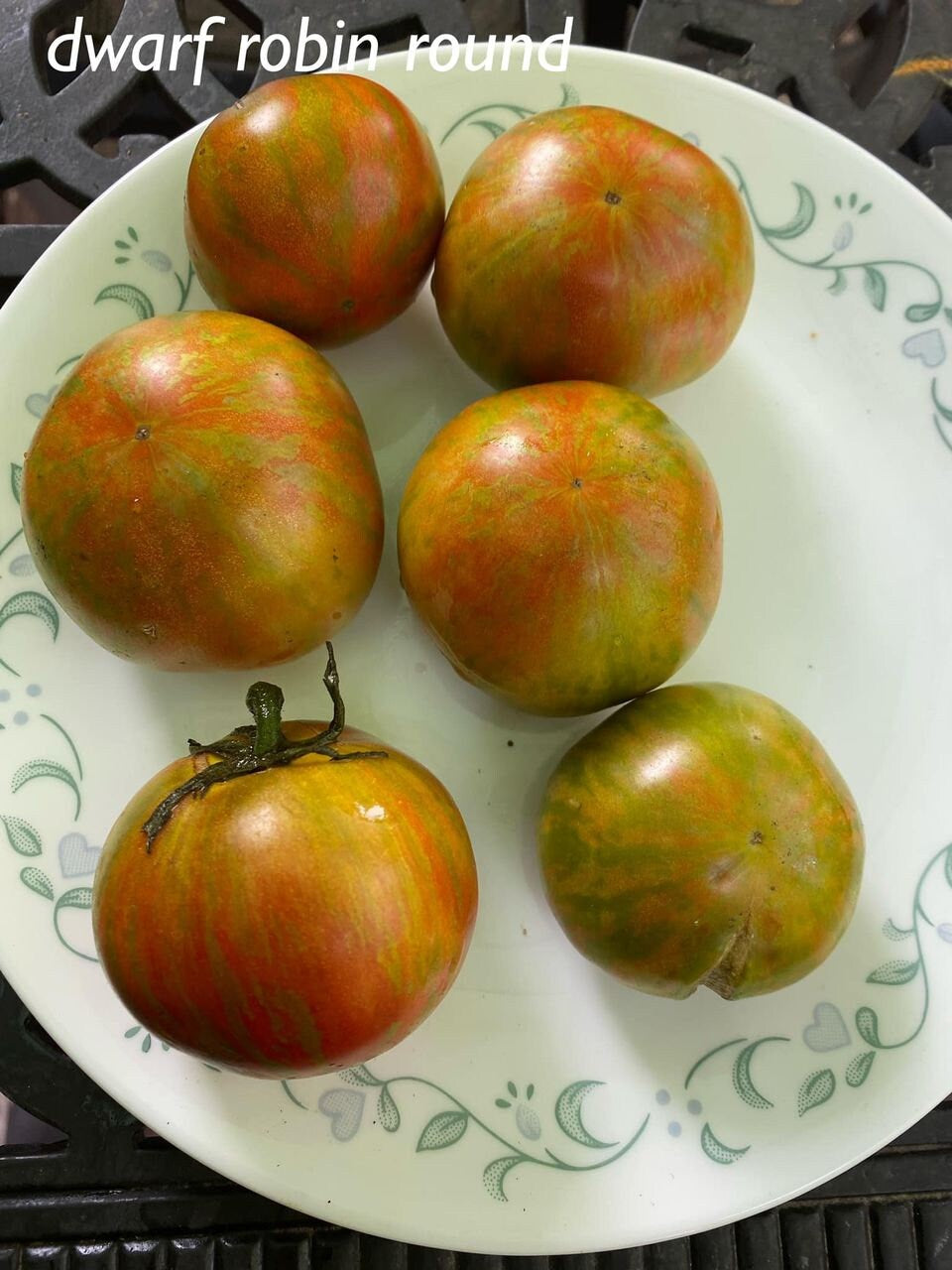 Dwarf Robin round Tomato Seeds