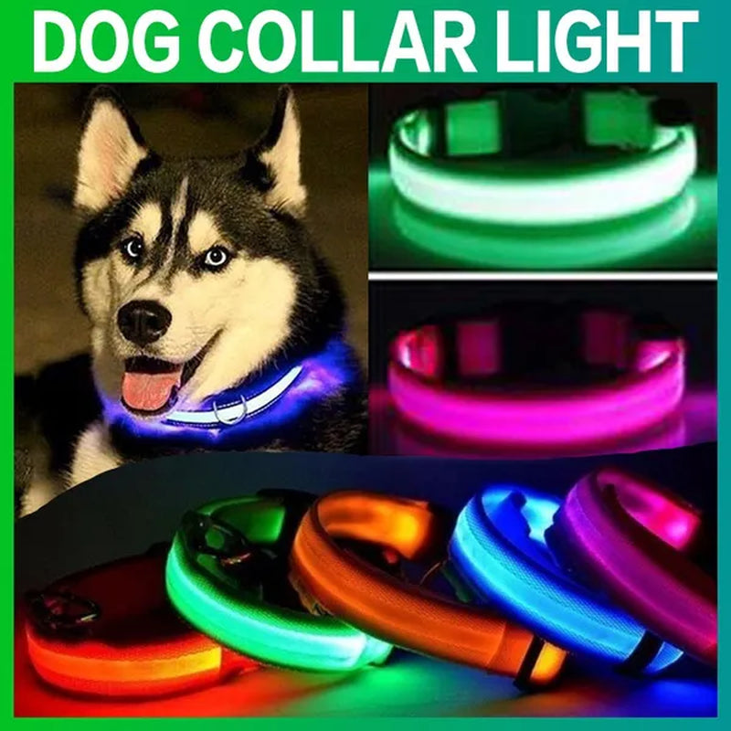 Nylon LED Pet Dog Collar,Night Safety Flashing Glow in the Dark Dog Leash,Dogs Luminous Fluorescent Collars Pet Supplies