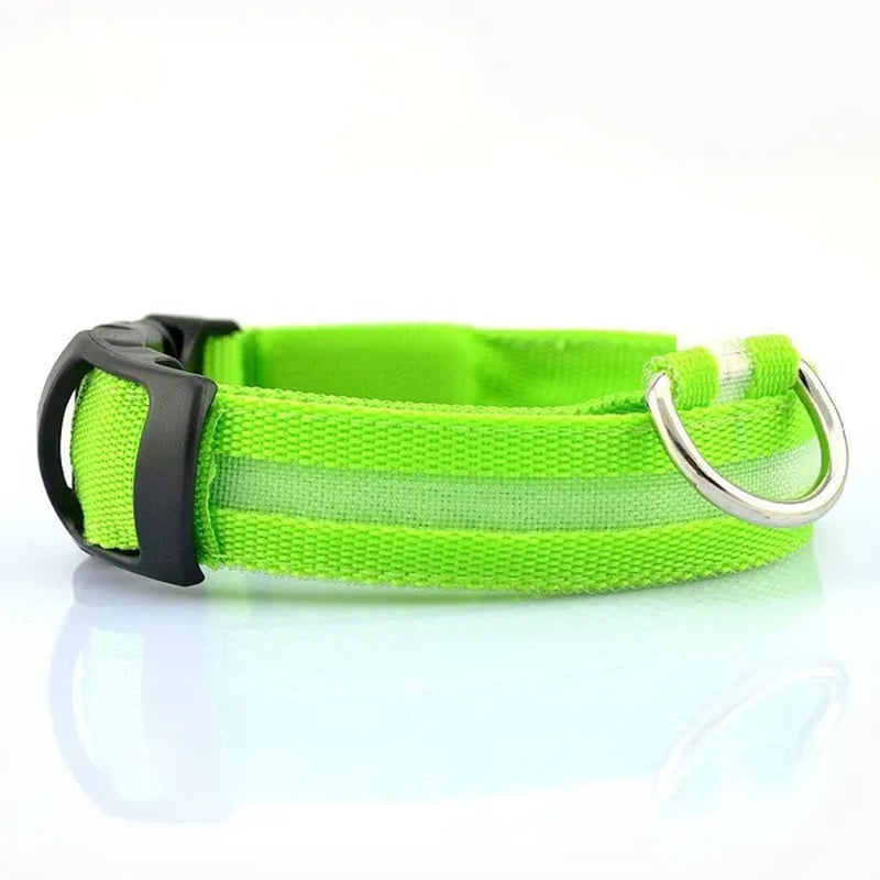Nylon LED Pet Dog Collar,Night Safety Flashing Glow in the Dark Dog Leash,Dogs Luminous Fluorescent Collars Pet Supplies