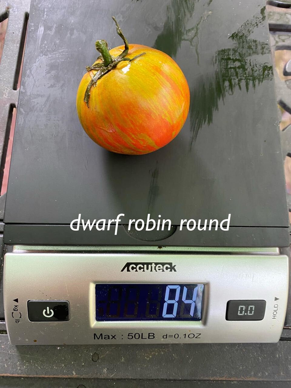 Dwarf Robin round Tomato Seeds