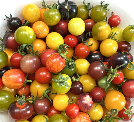 Heirloom Cherry Tomato Seed Mix | Heirloom | Organic